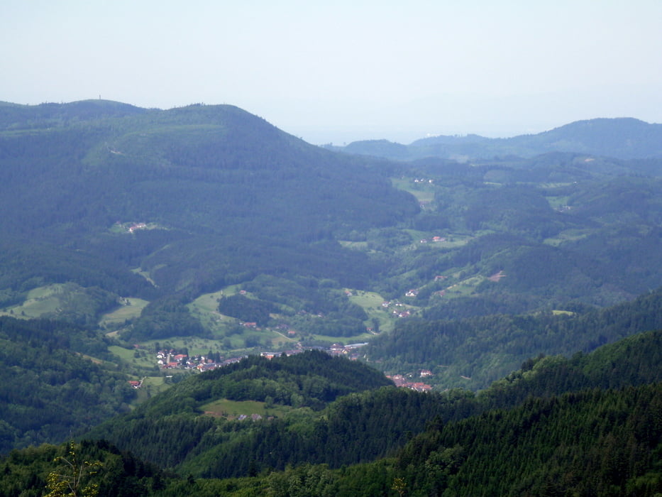 Baiersbronn Appenweier und zurück