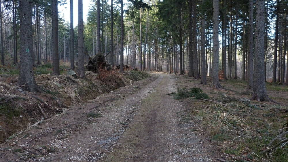 Przełęcz Tąpadła - Radunia - Sulistrowiczki