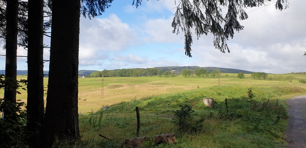 Schmiedefeld-Finsterberg-Mönchhof und zurück