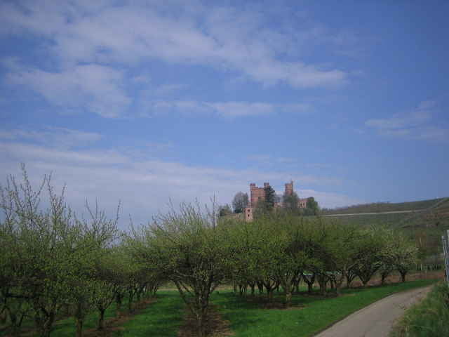 Schloß Ortenberg - Hohes Horn