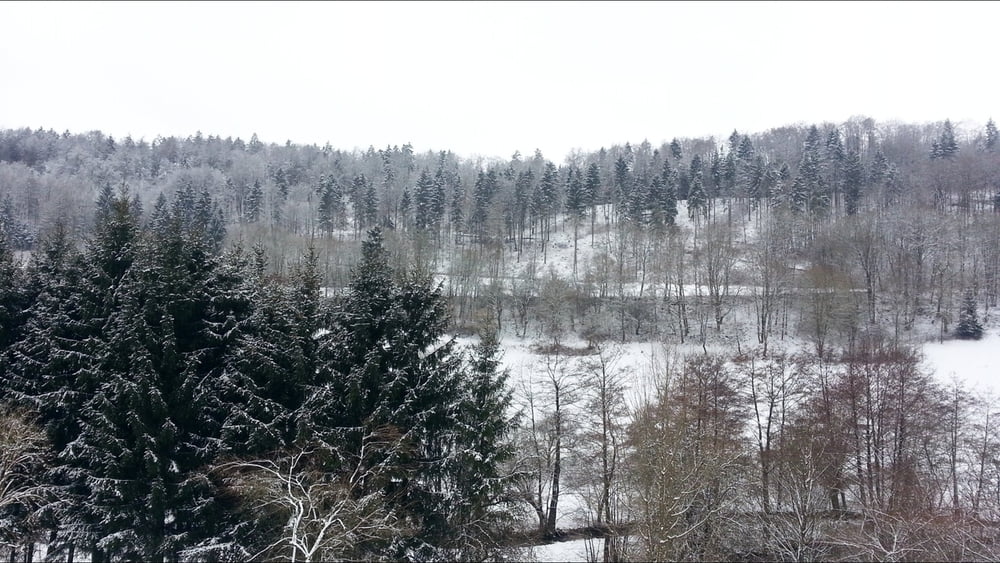 Wandern Franken: "Puderzucker- Schnee" bei Egloffstein