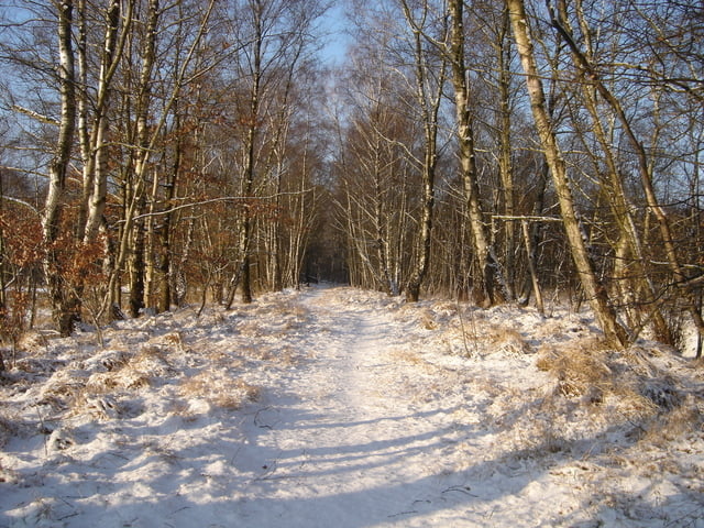ab ins Himmelmoor