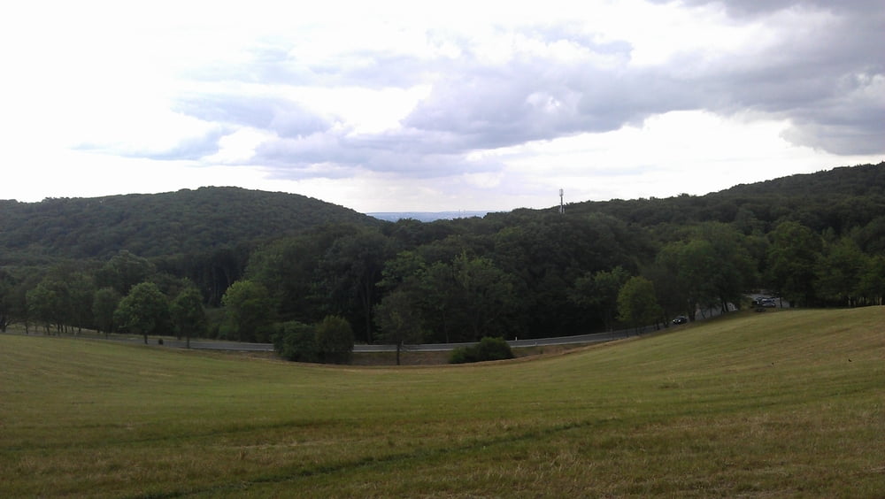 Wienrunde