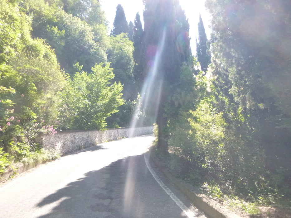 Il Pirello