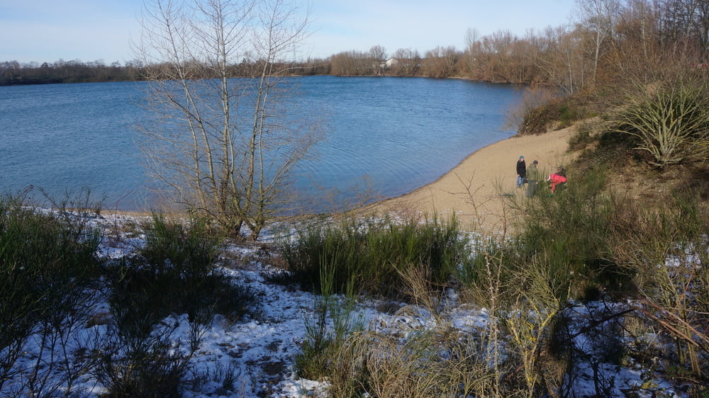 Von Rheindorf zur Hitdorfer Seenplatte