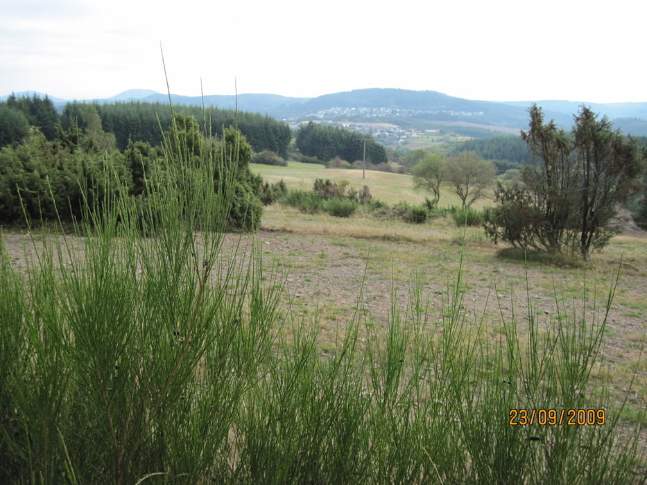 Traumpfade in der Vordereifel, Wachholderweg+Bergheidenweg