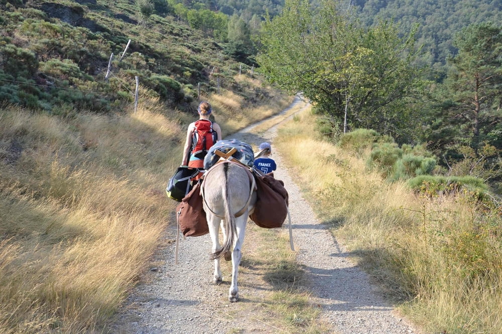 Eselwanderung Castagnol nach Vimbouche