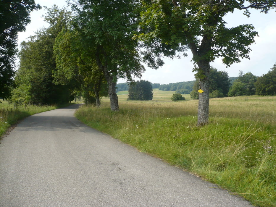 Mit MTB/RR  durch Truppenüb.platz Münsingen