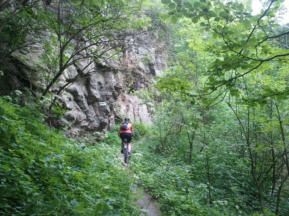Auf Trails von Horn nach Krems