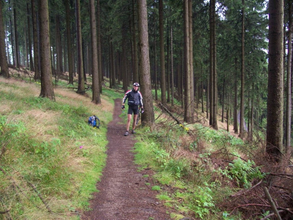 Auf dem Eselsweg