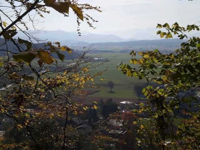 Kobernaußerwald