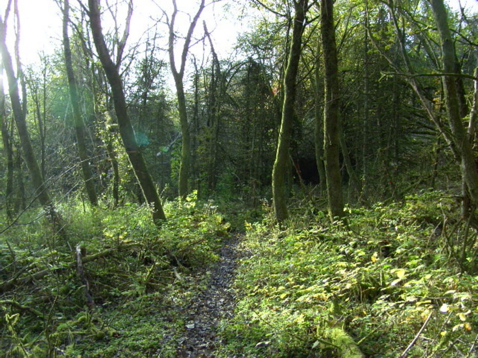 FREISENER PANORAMAWEG 