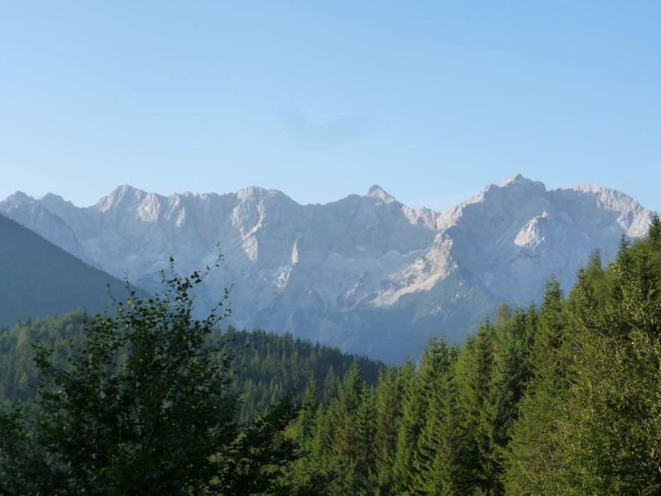 Kärntner Storschitz