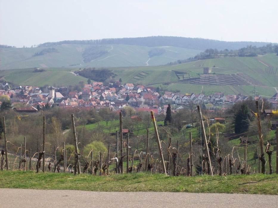 Fellbach-Endersbach