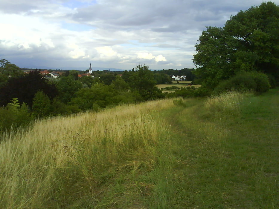 Tour Heppenheim Bockenheim Kindenheim
