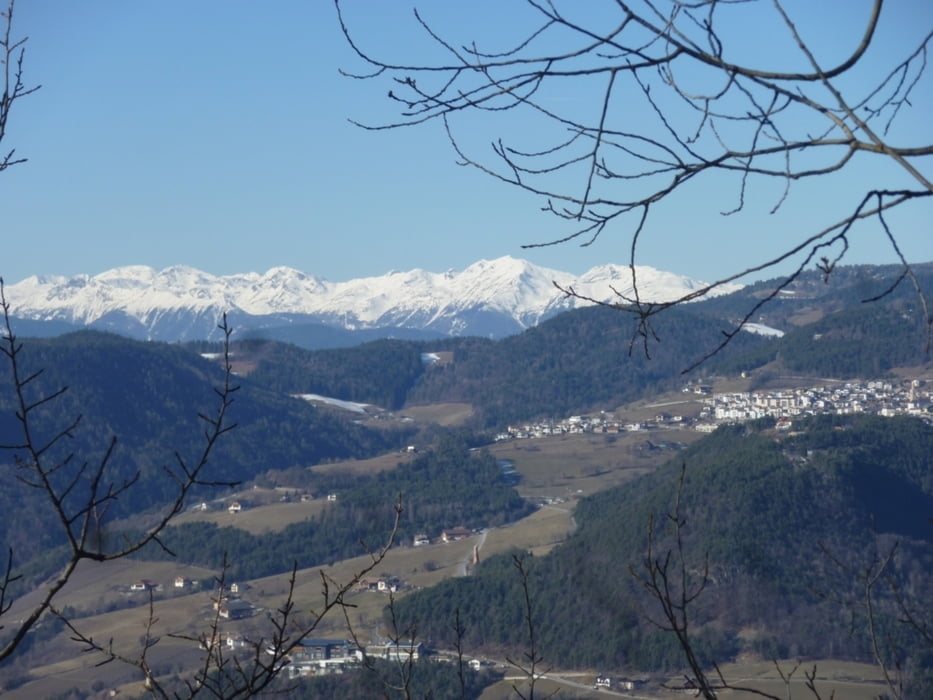 Berglauf BZ-Ritten 2 - Südtirol