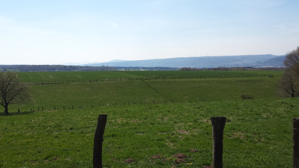 Von der Weser in den Solling