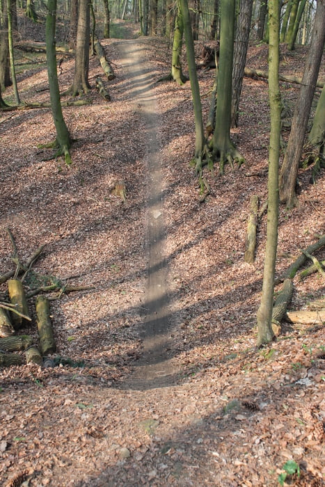 DSMTBV Deister Teufelsbrücke Mooshütte flow 2. time trails