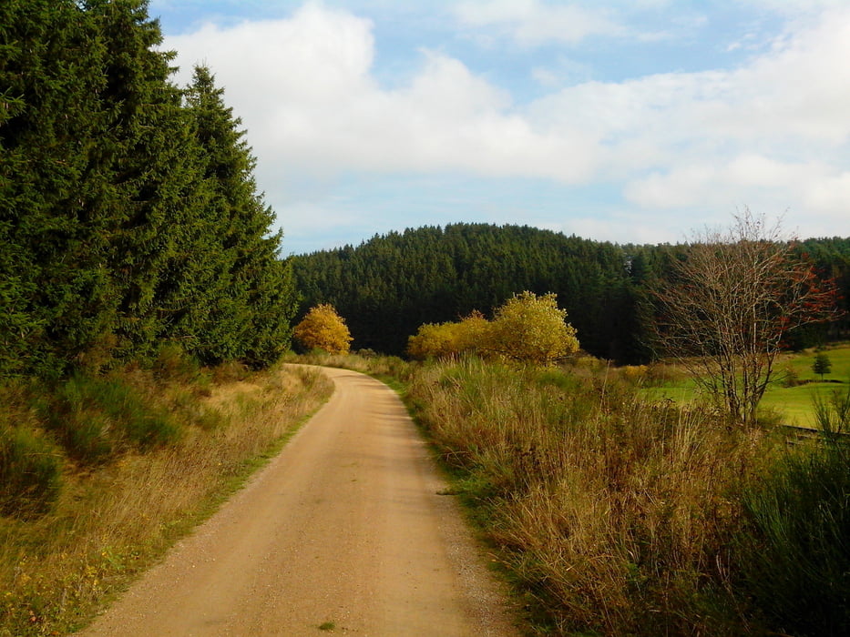 HM Nettersheim