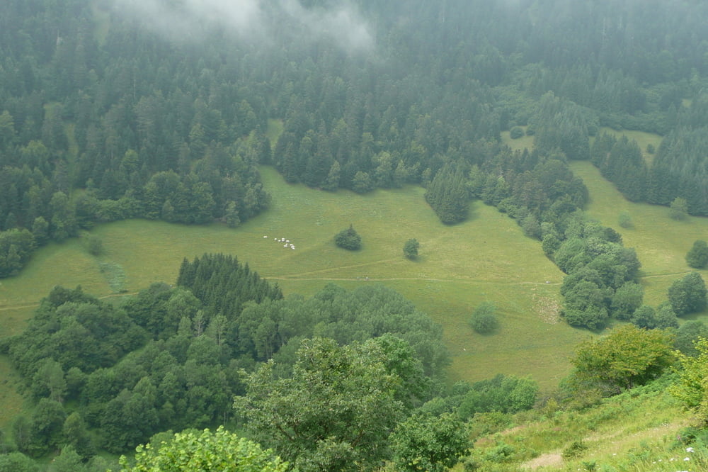 Jurvielle - Saint-Bertrand-de-Cominges