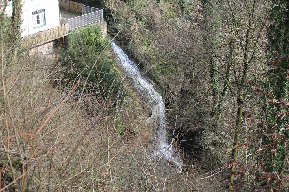 Süntel 3.0 XC easy Südwehe Blutbachtal Langenf Wasserfall Schneegrund Hohenstein DSMTBV MTB-Tour