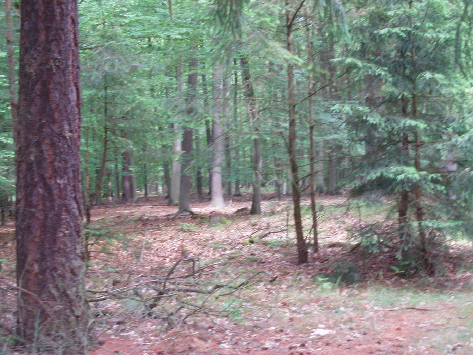 Schlaubetour