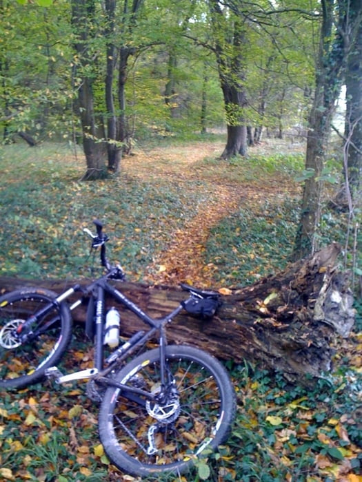 Trails/Dirtspots von Kerpen-Nörvenich-Manheim-Blatzheim