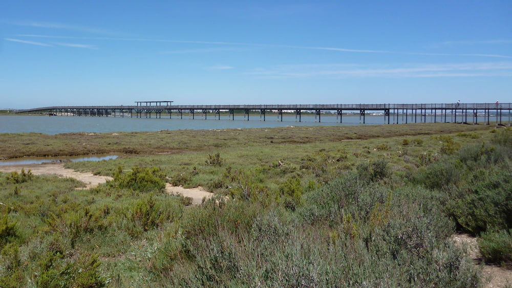 Los Toruños-Saboneses - Bahia de Cadiz