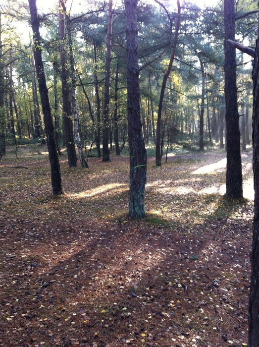 Holterberg anders!