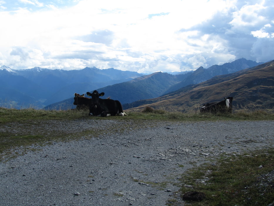 Transalp Segrato Etappe 3: Hintertux-Enzianhütte