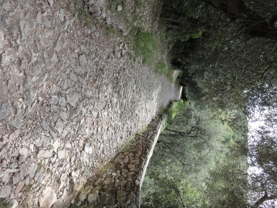 Monte Velo