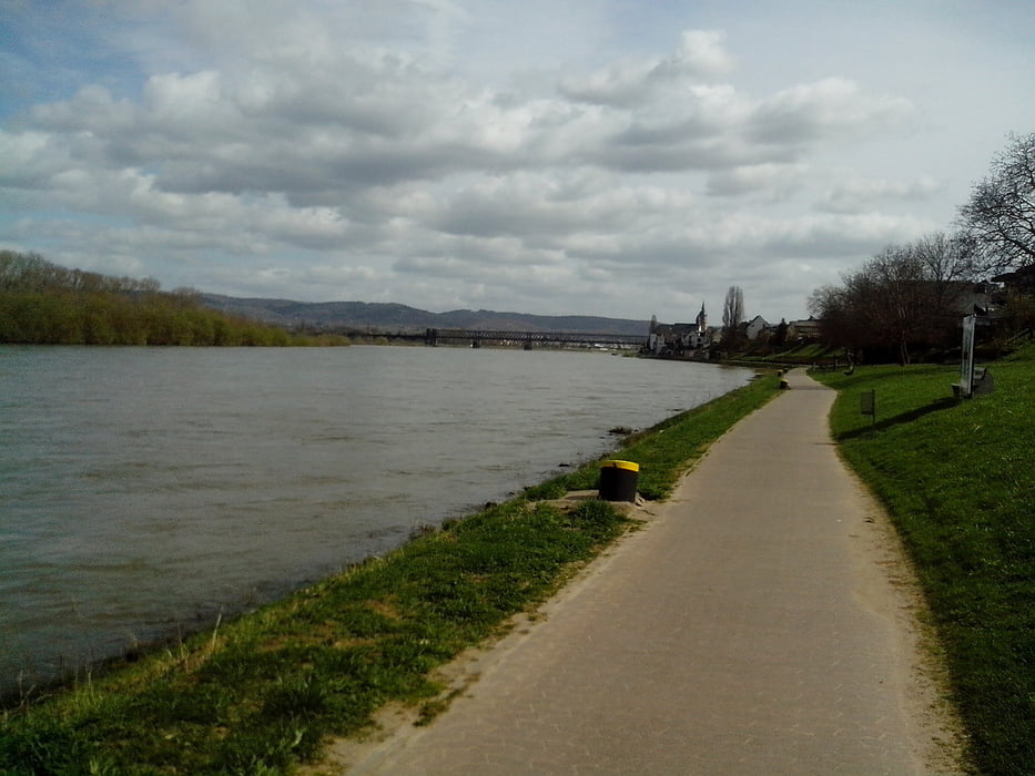Immer am Rhein entlang