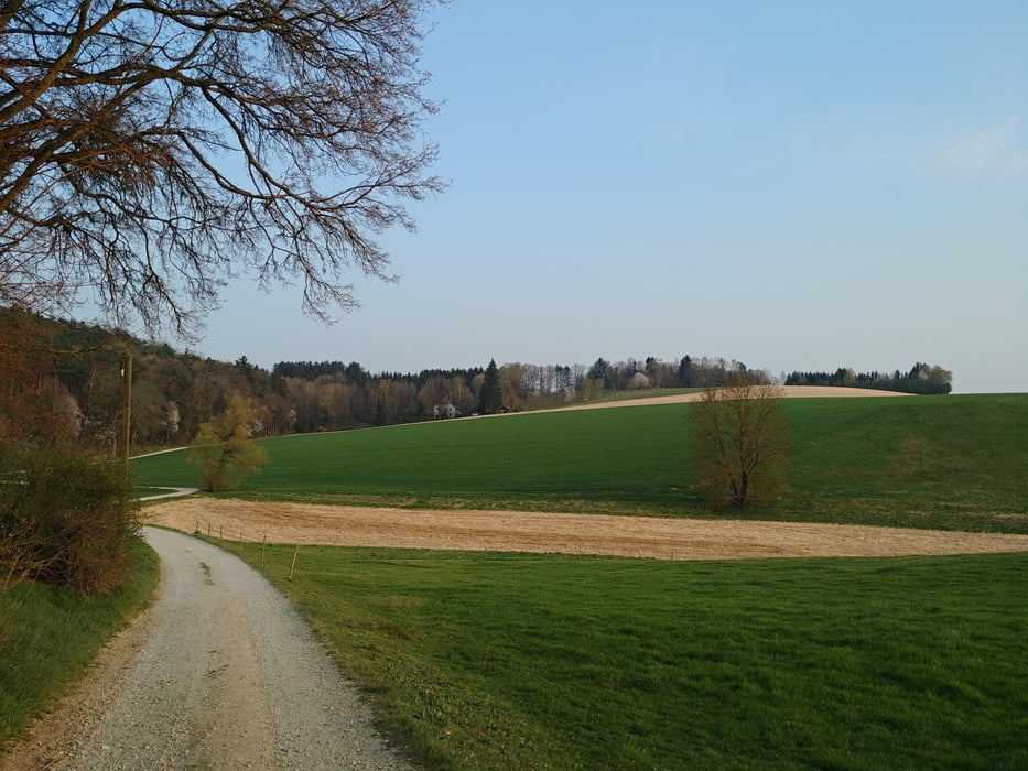 Englberg, Berndorf, Salzdorf