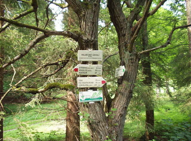 2006.07.29. Kraslice-nature park Prebuz-Kraslice joyride