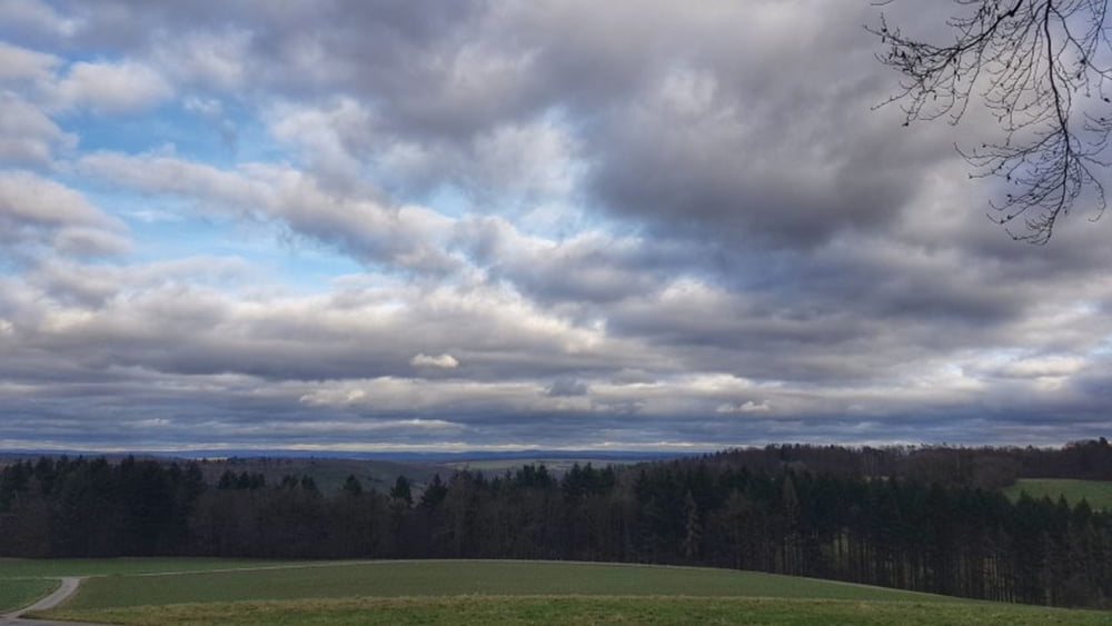 Zur Konfirmanden Buche und in den Kellergrund