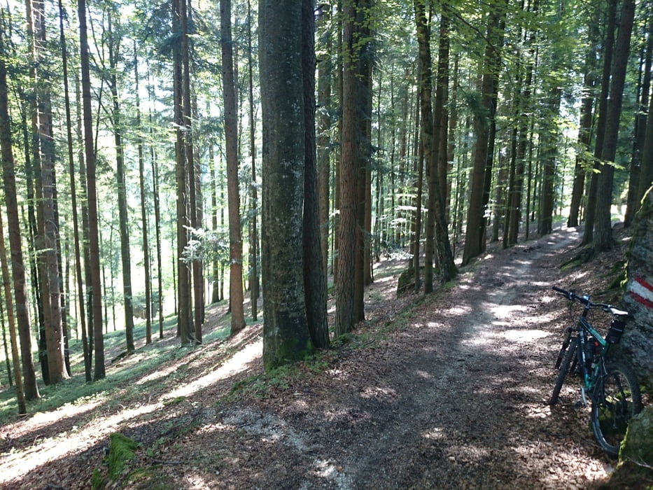 Abwechslungsreiche Runde