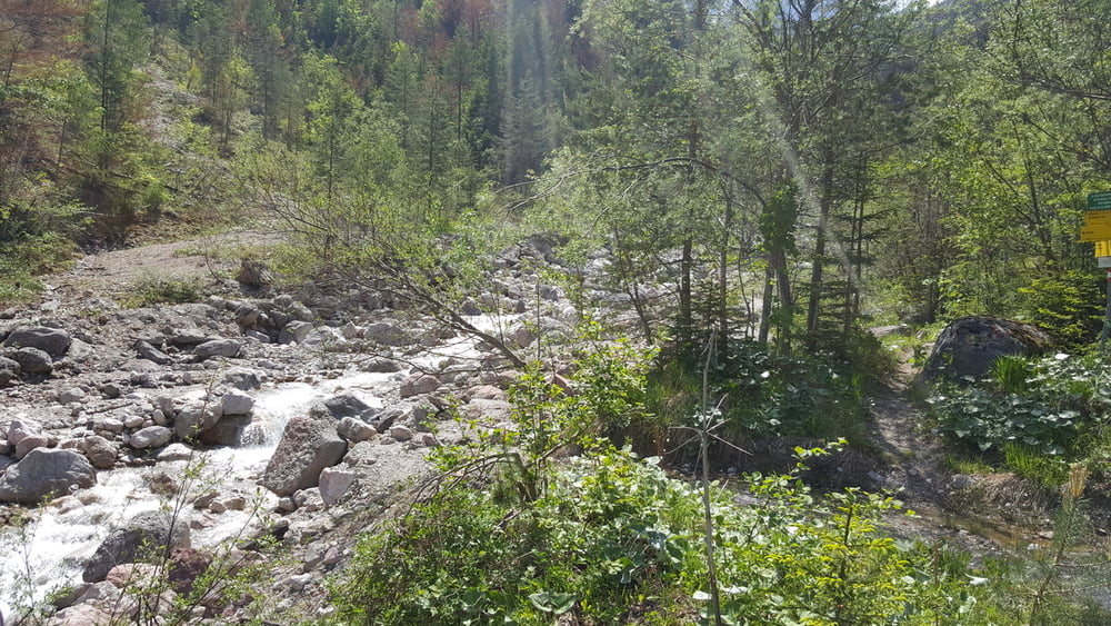 Rund um den Ferlacher Spitz (Bertahütte)