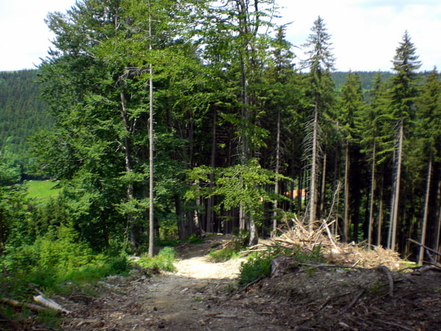 Sonneck-Hauchenberg