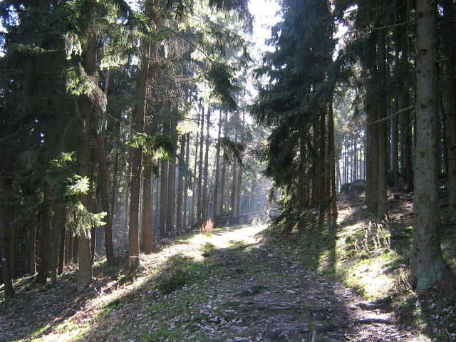Sonntagsausfahrt ins Butzbacher Hausberggebiet