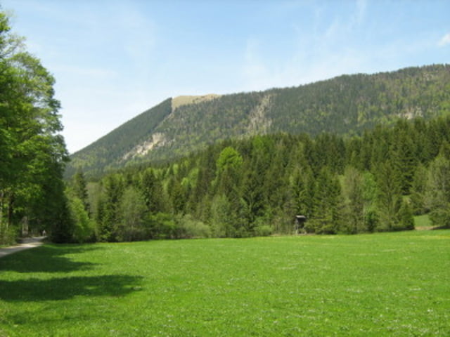 Hirschhörnlkopf
