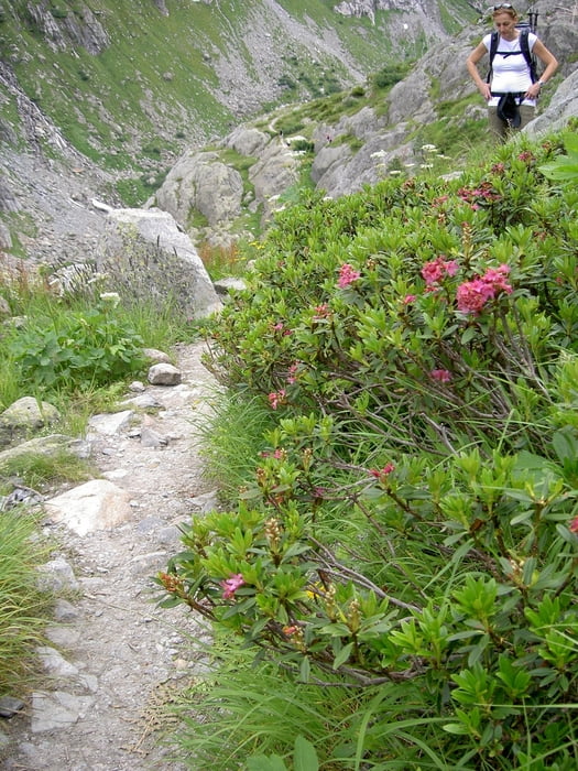 Triftbrücke