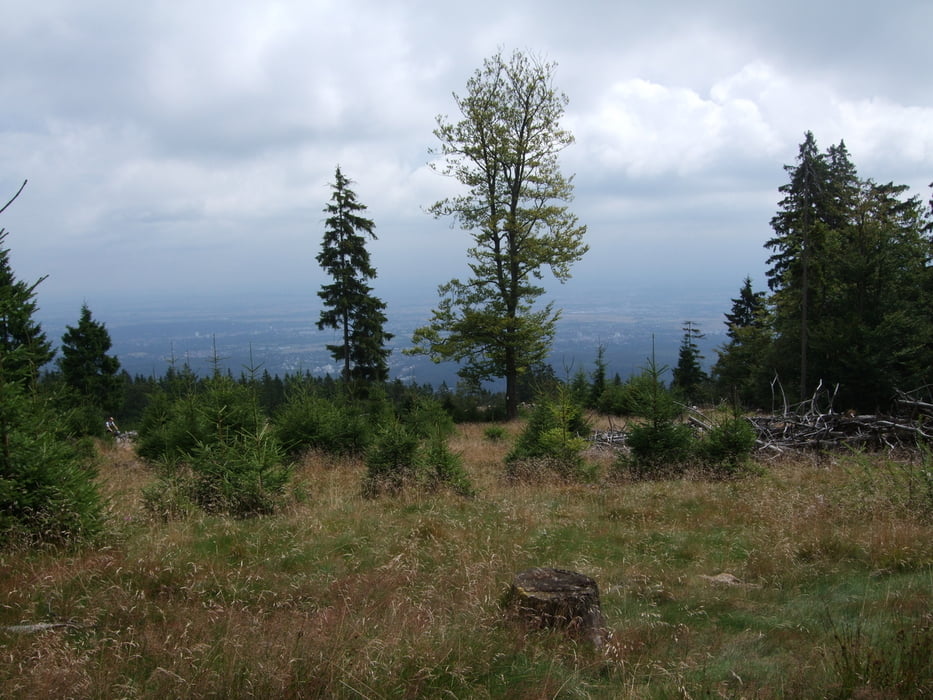 Feldbergrunde Altkönig-großer Feldberg-Saalburg