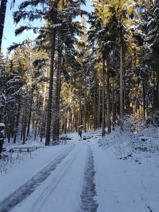 Greifenbachtal - die lange Variante -Röhrgraben