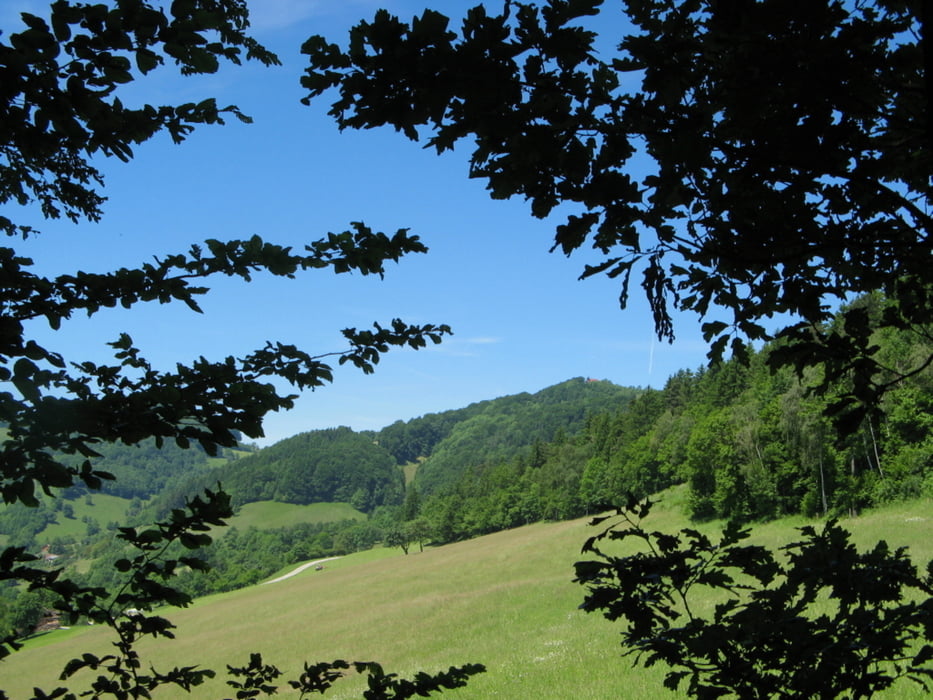 Ewige Tränen - Lacken am Kaiserkogel