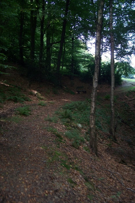 Trail - Alarm in der Kohlfurth