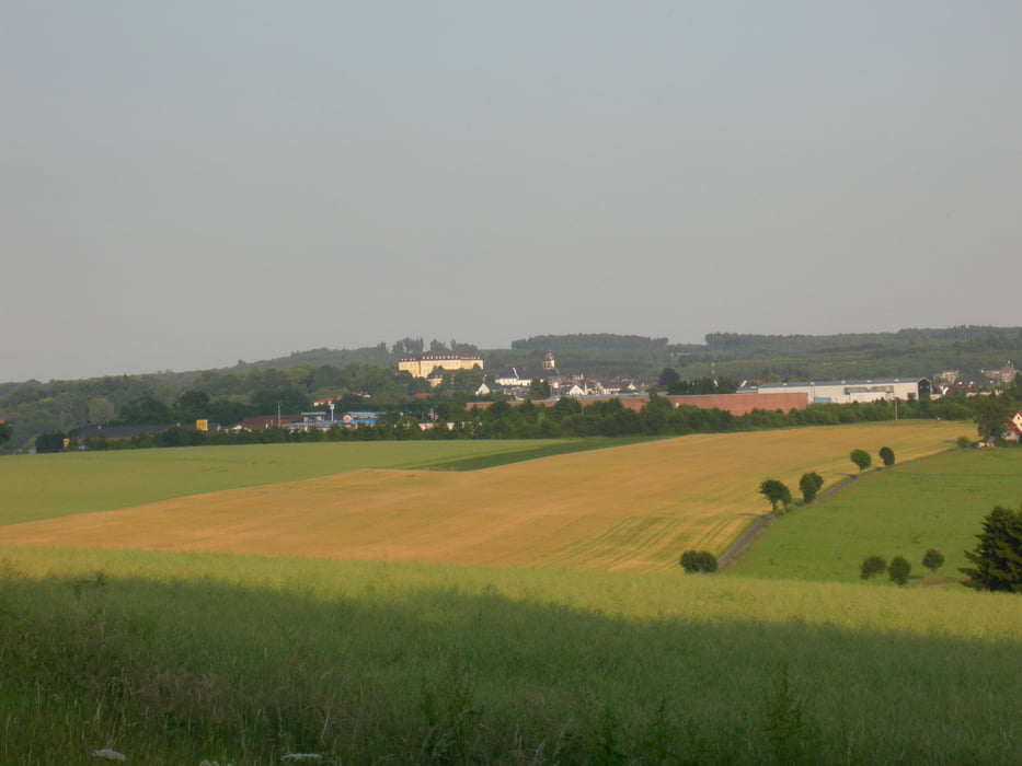 "Hattert-Müschenbach-Gehlert"  22,9 km
