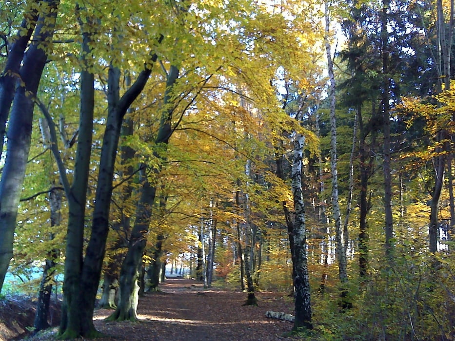 rundherum um Freiberg im Herbst