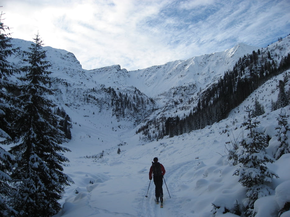 Spitzköfele