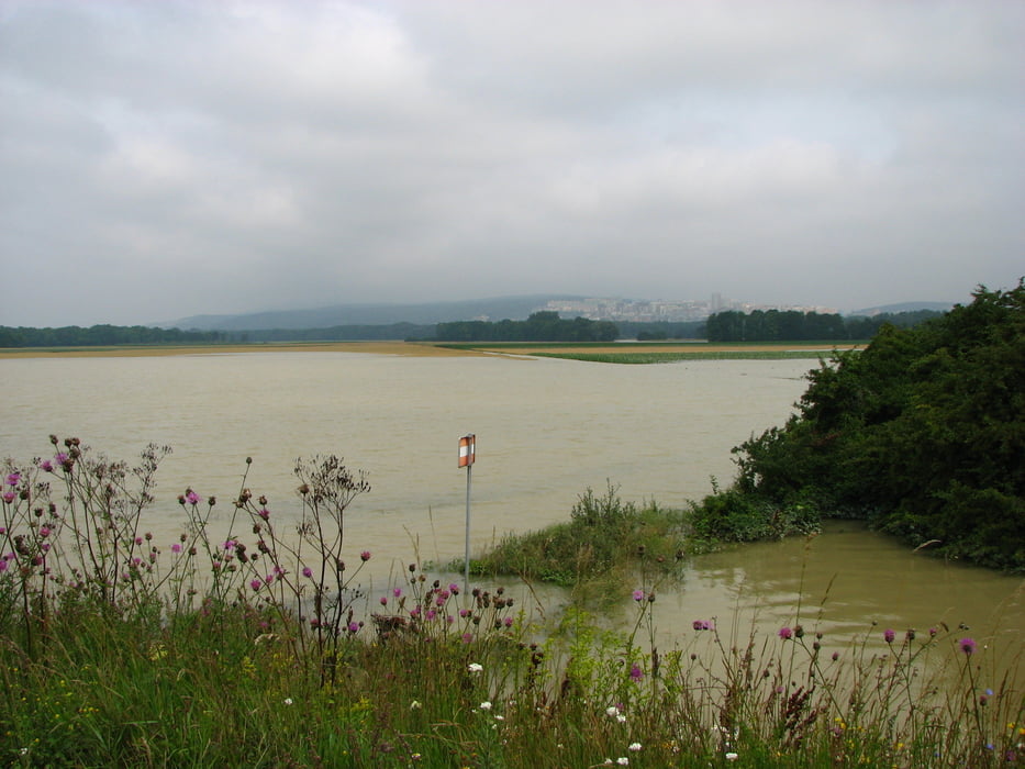 20090627_Okolo Hainburger Berge_5