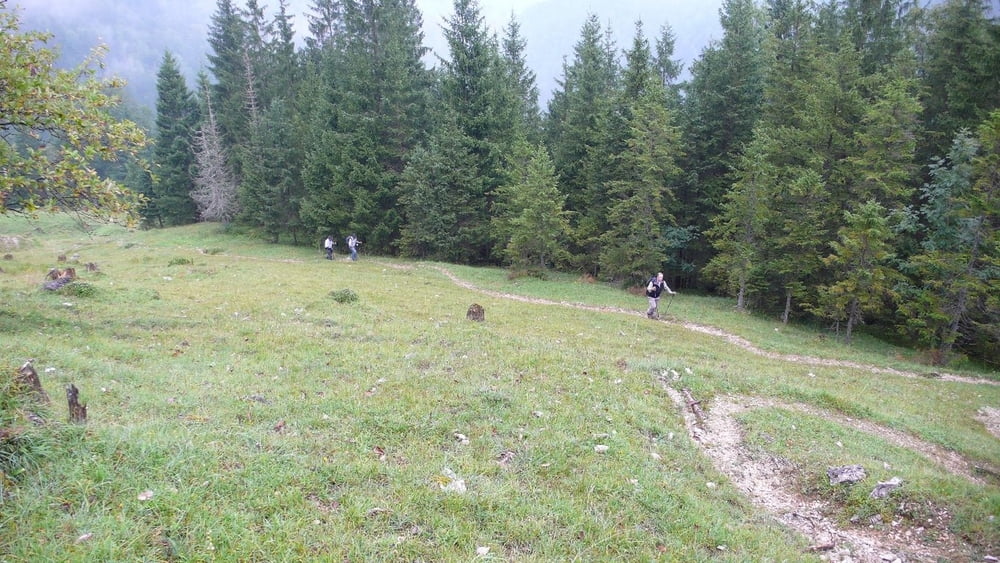 Lerchkogel Niederleger